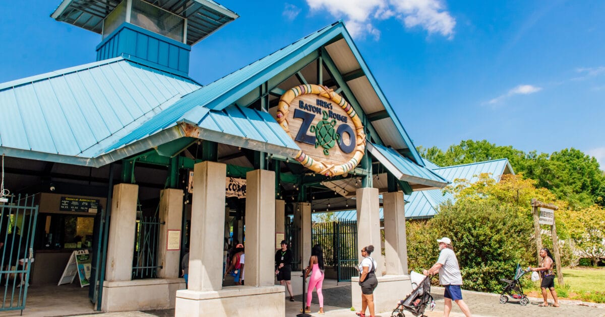 BREC Baton Rouge Zoo Unveils Stunning New Exhibits as Renovations Near Completion