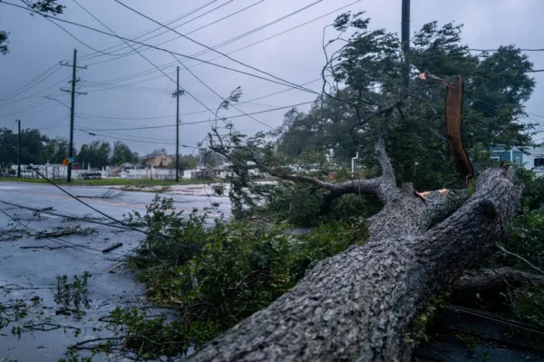 Federal Disaster Declaration Approved for Louisiana Following Hurricane Francine