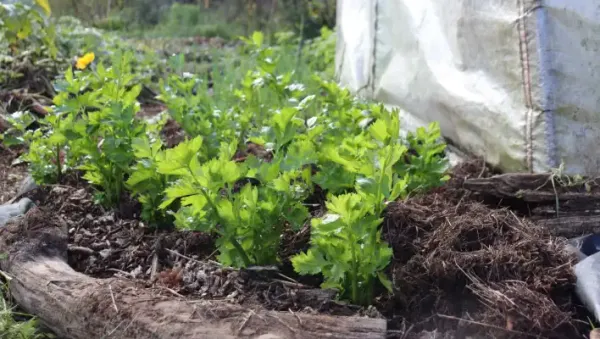 Baker Students Grow More Than Crops and Chickens in STEM Program